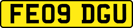 FE09DGU