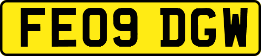 FE09DGW