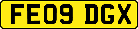 FE09DGX
