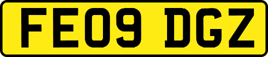 FE09DGZ
