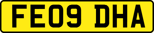 FE09DHA