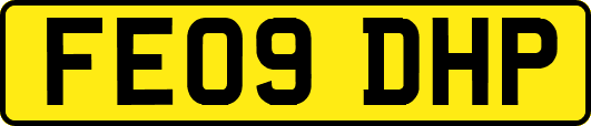 FE09DHP