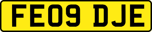 FE09DJE