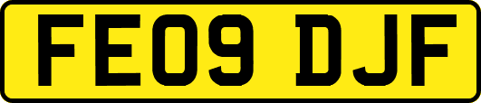 FE09DJF