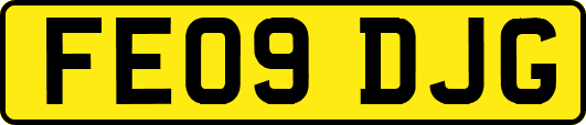 FE09DJG