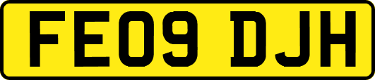 FE09DJH