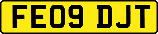 FE09DJT