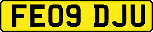 FE09DJU