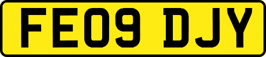 FE09DJY