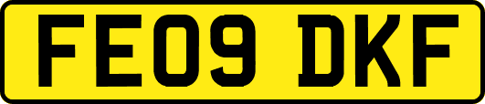 FE09DKF
