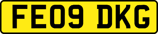 FE09DKG