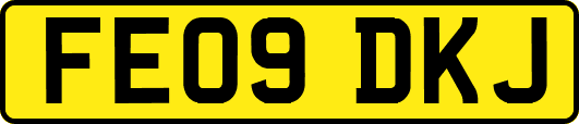 FE09DKJ