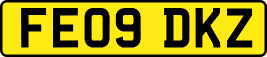 FE09DKZ