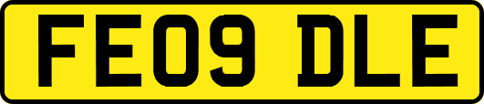 FE09DLE