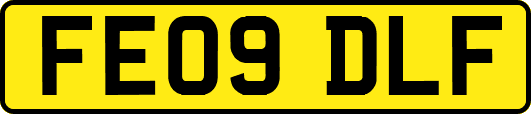 FE09DLF