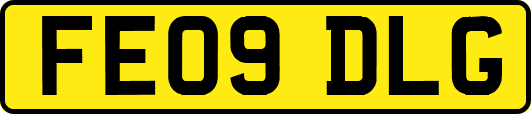 FE09DLG