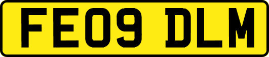 FE09DLM