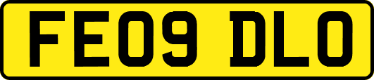 FE09DLO