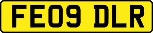 FE09DLR