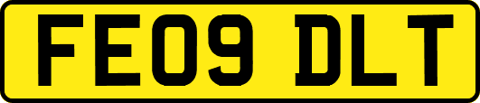 FE09DLT