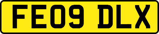 FE09DLX