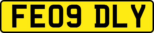 FE09DLY