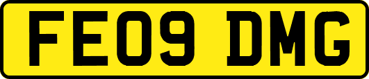 FE09DMG