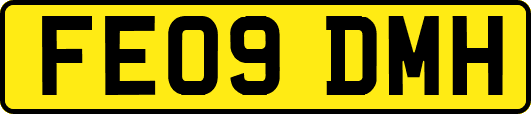 FE09DMH