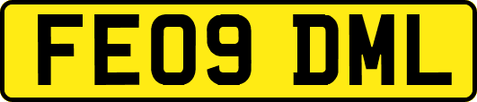 FE09DML