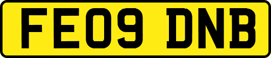 FE09DNB