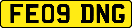 FE09DNG