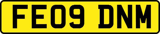 FE09DNM