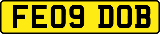 FE09DOB