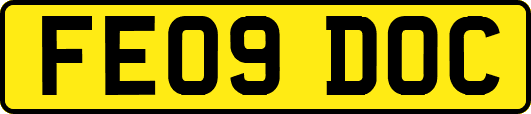 FE09DOC