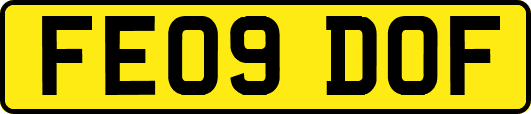 FE09DOF