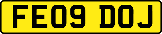 FE09DOJ