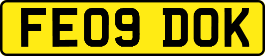 FE09DOK