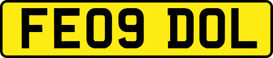 FE09DOL