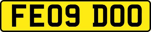 FE09DOO