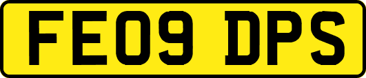 FE09DPS