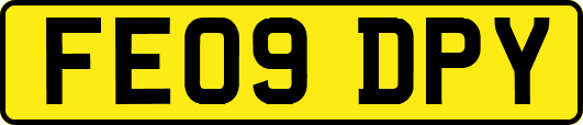 FE09DPY
