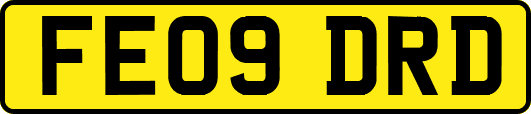 FE09DRD