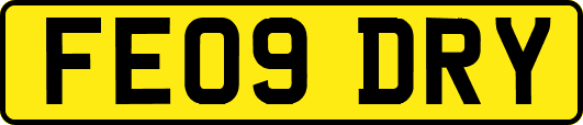 FE09DRY