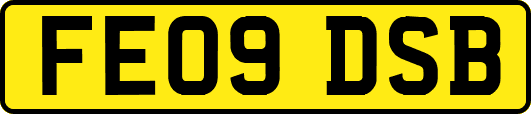 FE09DSB