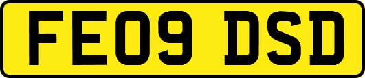 FE09DSD