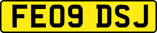 FE09DSJ