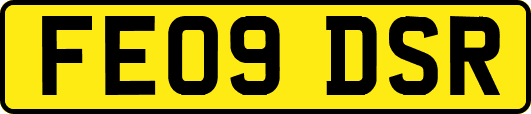 FE09DSR