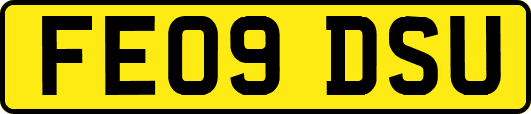 FE09DSU