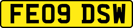 FE09DSW