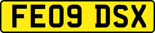 FE09DSX